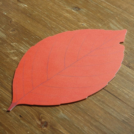 ��ǻ�Ϳ�ǰ ���콺�е� ���콺�е� �⼺ǰ ��������_��������� (310*177mm) ��ǰ ����