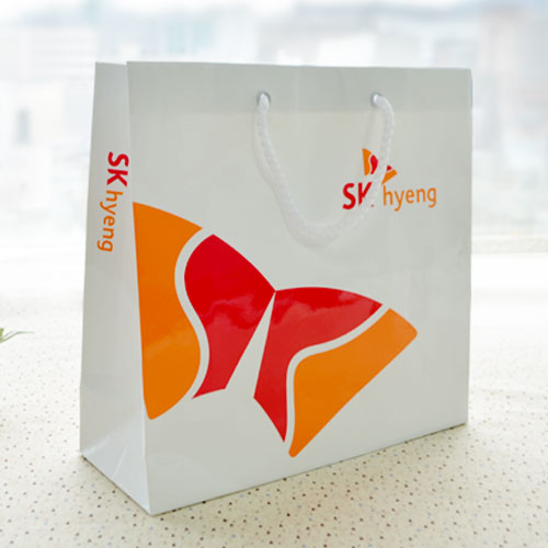 ���ڹ�/���ι� ���̼��ι� ������ ���ι� ���̼��ι�_SK (260x100x280mm) ��ǰ ����