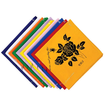 ��̽�ī�� (480*480mm)