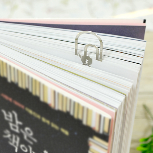 å����_(�������)