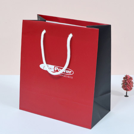 ��ǰ�� ��Ÿ��ǰ ���̼��ι�_�Ŀ� (220x120x250mm) ��ǰ ����