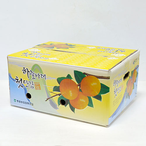 �ڽ�/��Ű�� �����ڽ�/������ �����ڽ� ���� Į�� ���� ���Ϲڽ� (420*325*200mm) ��ǰ ����