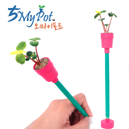 ��������Ʈ ���� 1����