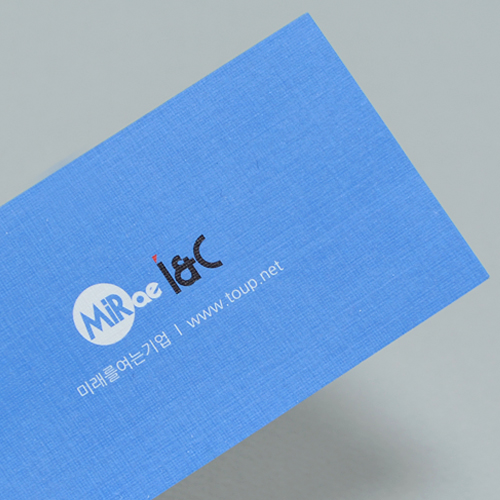 �μ�/������ ���� ����(������) ���޸���(����Ŀ����/216g) (90*50mm) ��ǰ ����