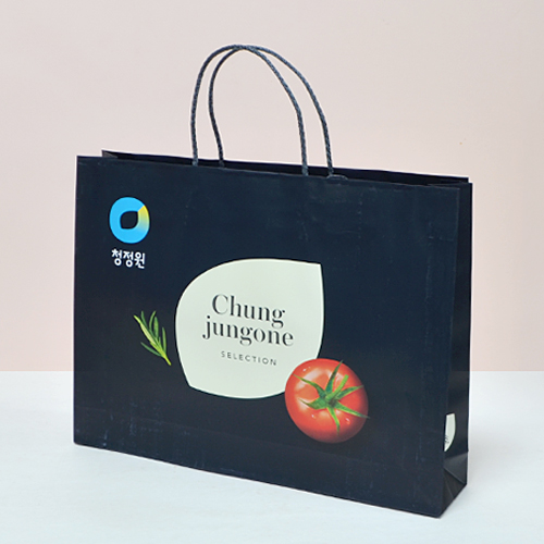 ���ι� ���̼��ι� �ڵ� ���ι�(����) �ڵ����ι�_û���� (400x100x280mm) ��ǰ ����