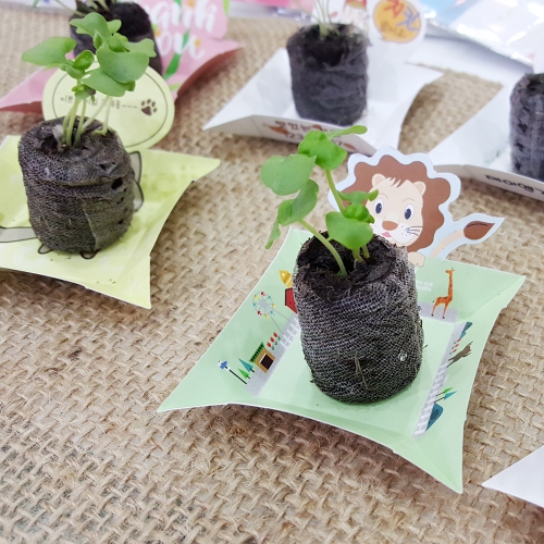 Ȩ/���׸����ǰ ����ȭ��/���� ��Ʋ���� ��������Ʈ (6.5*9cm) ��ǰ ����