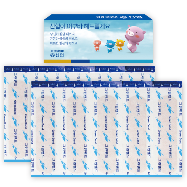 ����/������ǰ ȫ����� �׸���� ���� 4ȣ(10P) (100*40*15mm) ��ǰ ����