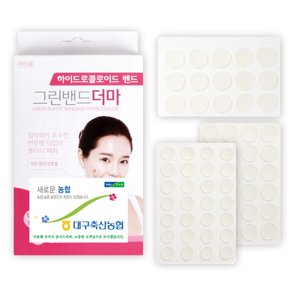 ����/������ǰ ȫ����� ���̵���ݷ��̵� ��� ����(67P) (85��150��15mm) ��ǰ ����