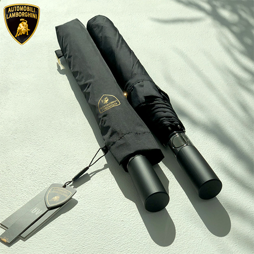 ��� 2�ܿ�� ��������� 2��65�ڵ� �ָ��� ��ǰ ����