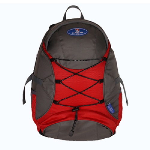 ķ��/����ǰ ����ǰ ���賶/���� ���޵��賶 WS.895 ��ǰ ����