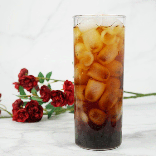 [Ƽ��ī��] �������� ��Ʈ����Ʈ��19 (������) 550ml