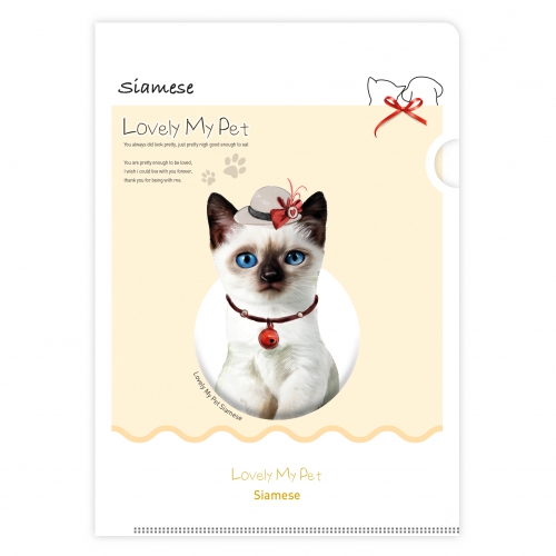 ���Ϸ�/PP��ǰ PP���� LȦ��_������������_No.1_�� ��ǰ ����