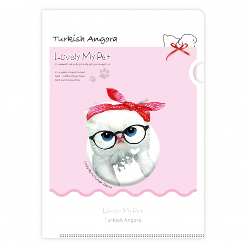 ���Ϸ�/PP��ǰ PP���� LȦ��_������������_No.9_��Ű�� �Ӱ��� ��ǰ ����