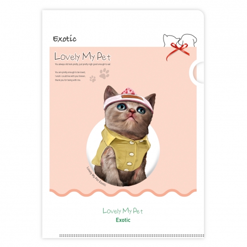 LȦ��_������������_No.11_����ƽ