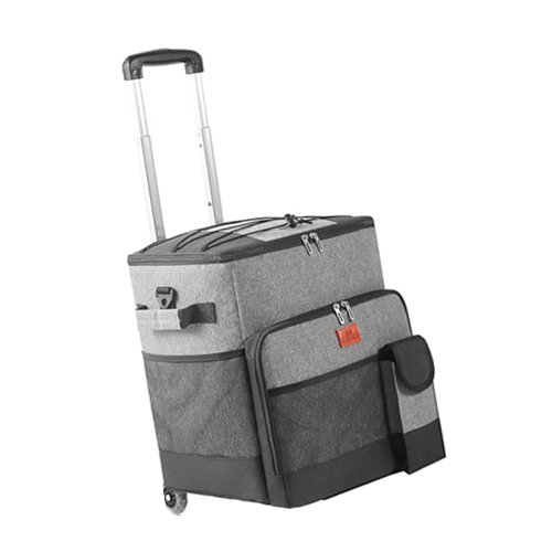 ������ ĳ���� ķ�� �̵��� ���ð��� �𷯹�