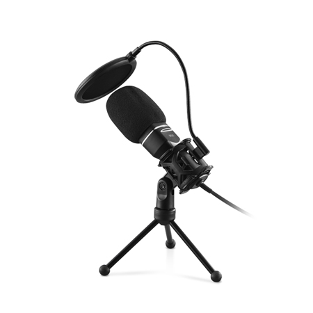 [����] ��ε�ĳ��Ʈ ���ĵ� ����ũ MIC-15