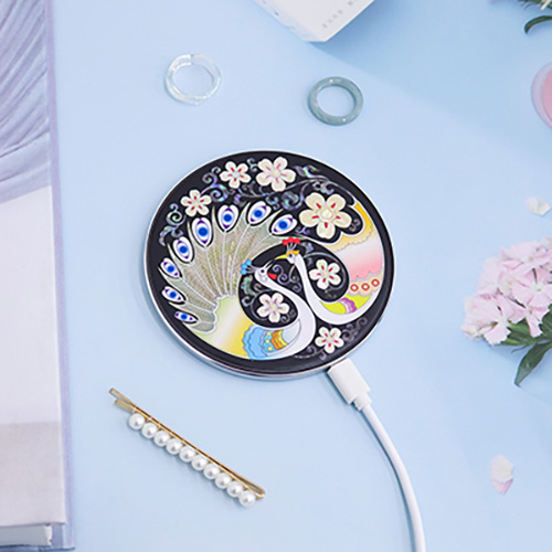 �������� �ڰ� ���� �����е� CŸ��