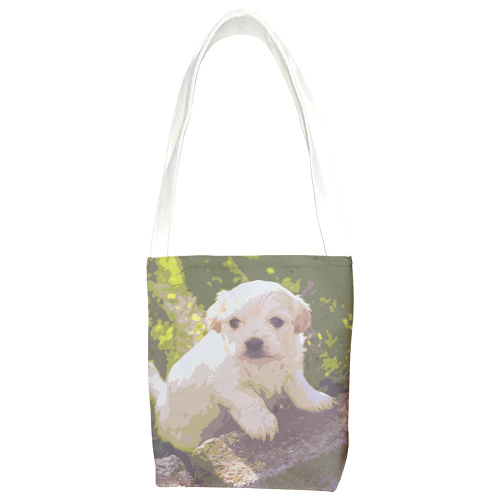 ���ǰ ����ȸ ���ǰ �ֹ����� �����÷��μ� ���ڹ�(����) (200*220mm) ��ǰ ����