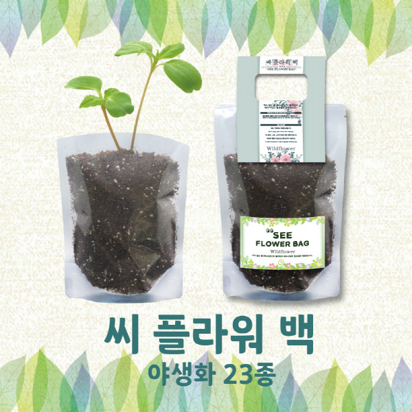 Ȩ/���׸����ǰ ����ȭ��/���� ���ö���� �߻�ȭ 23�� ��ǰ ����