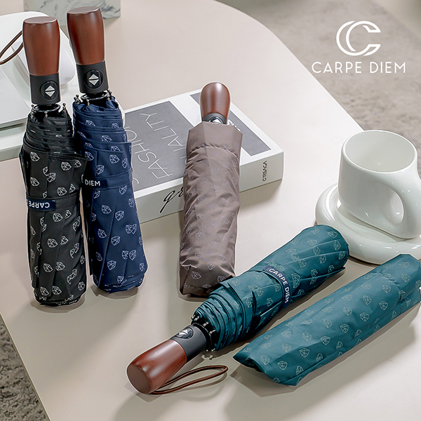 ��ǰ�� �����ǰ/������ǰ 2/3�ܿ�� ī����� ������� 3�ܿ����ڵ���� (C041) ��ǰ ����