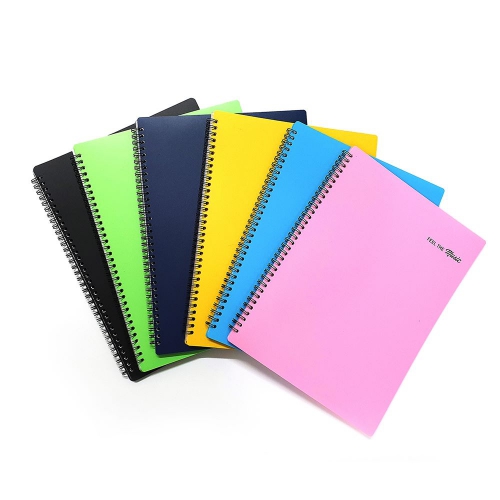 �Ǻ�ȭ�� 40��