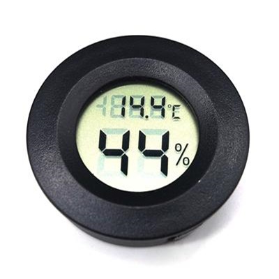 �̴� �½�����