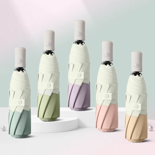 ���� 8K ����ġ 3�� ���ڵ� ���