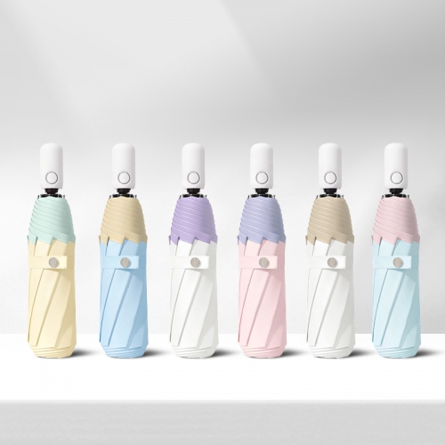 ��� ���/���� �ڽ��� 8K ����ġ 3�� ���ڵ� ���� ��ǰ ����