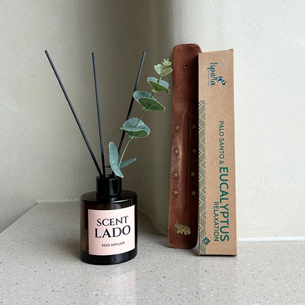 Ȩ/���׸����ǰ ĵ��/��ǻ��/������ ��ǻ�� ��Ʈ�� ��ǻ�� ��Į������ 150ml + �̽��ȶ� �ȷλ��� �μ��� ��ƽ ������ ��Ʈ ��ǰ ����