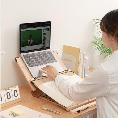 �ڳ� ���� å ��ħ��  2�� �ױյ����� - 40cm