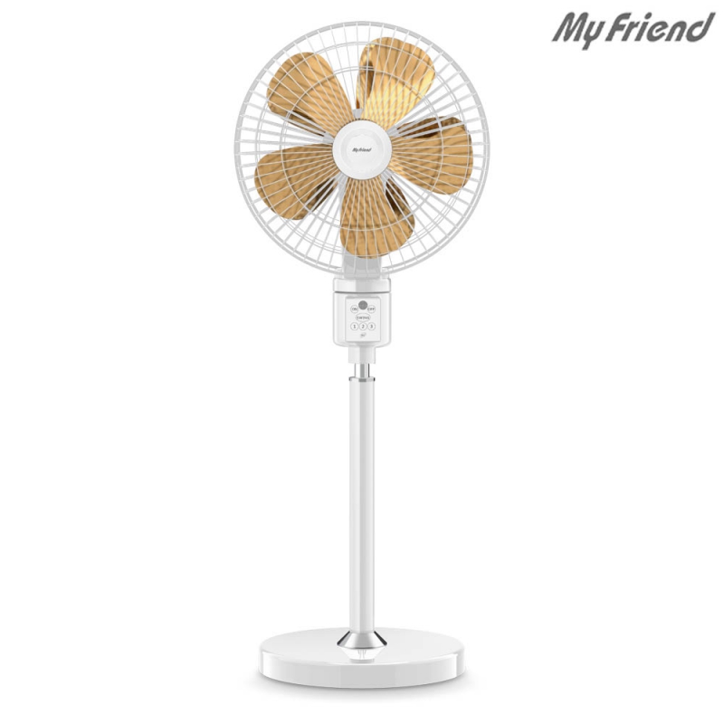 ����������_100 20��ġ ������ ���ǳ��