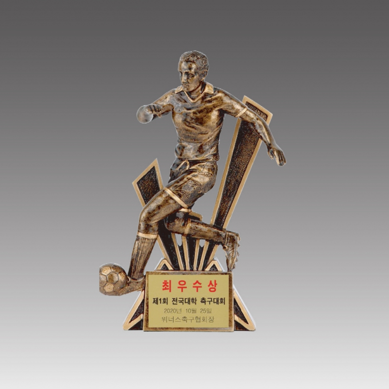 ���� Ʈ����(�౸)_G5053