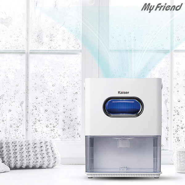 ����������_20 ī���� ������