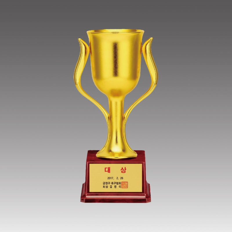 �ö�ƽ �� Ʈ����(��ġ��)_G6020 A,B,C