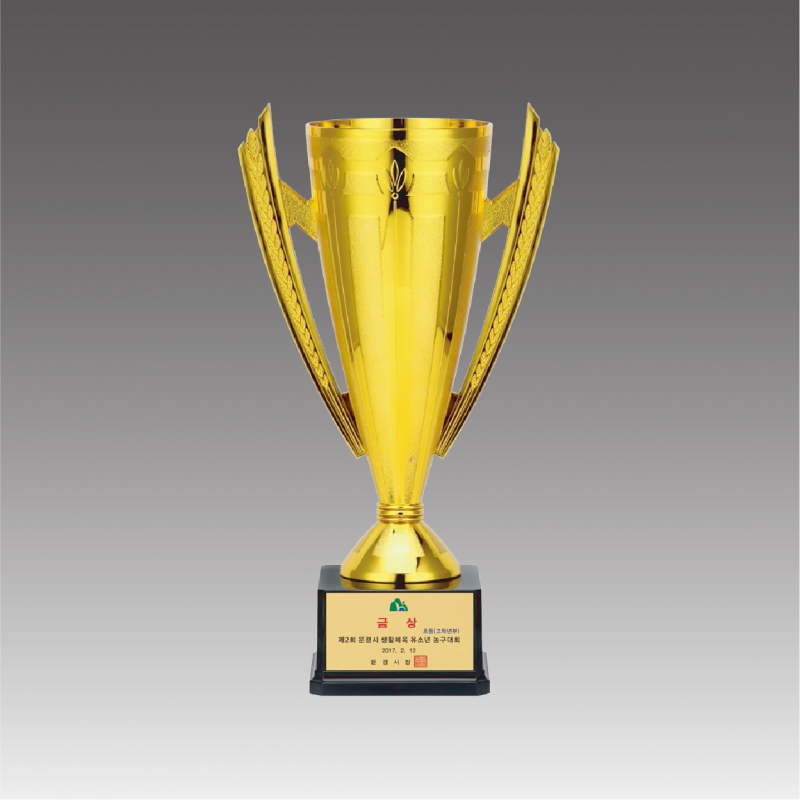 Ʈ����/����/��� ����ȸ Ʈ���� �ö�ƽ �� Ʈ����(��������) G6022-A,B,C ��ǰ ����