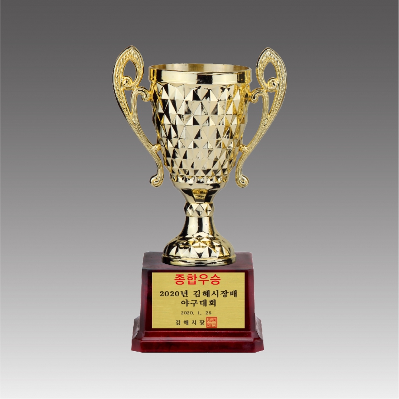 �ö�ƽ �� Ʈ����(���̾���)_G6025 A,B,C �� 1P