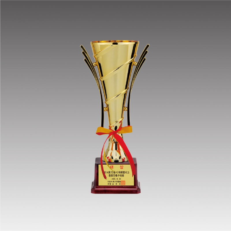 �ö�ƽ �� Ʈ����(Ʈ������)_G6034-C