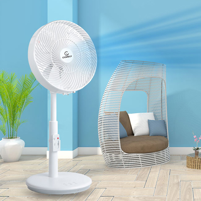 ��Ȱ���� ��ǳ�� ������/���ٵ弱ǳ�� �ڸḮ ������ ������ ������ ��ǳ��(1900) ��ǰ ����