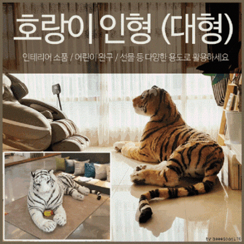 Ȩ/���׸����ǰ ���/���ǰ �ʴ��� ȣ��������_Ȳȣ,��ȣ_2M ��ǰ ����