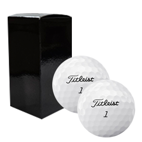 Ÿ��Ʋ����Ʈ PRO V1 2����Ʈ