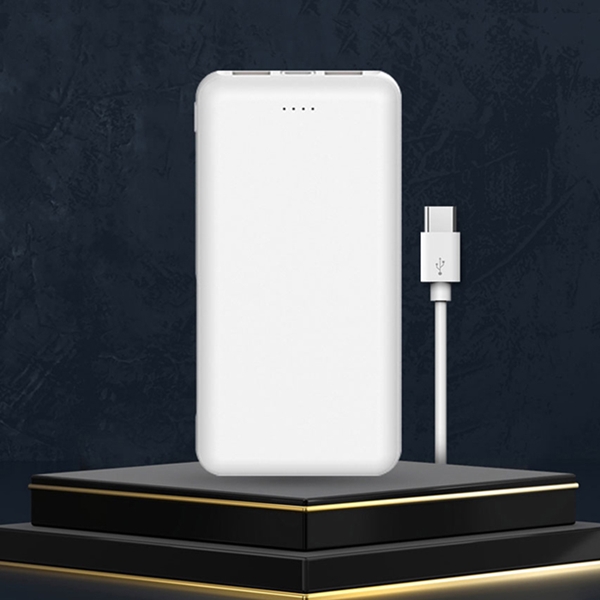 ������ ��Ƽ���� 2��Ʈ 10000mAh ��뷮 �������͸�