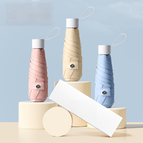 ���丮�� �Ľ��� ���� 6K 5�� ���� �淮 ����