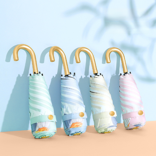 ���丮�� 5�� 6K ���ö��&�������ݻ����ڼ����� ����(UPF50+)_�ϸ�����