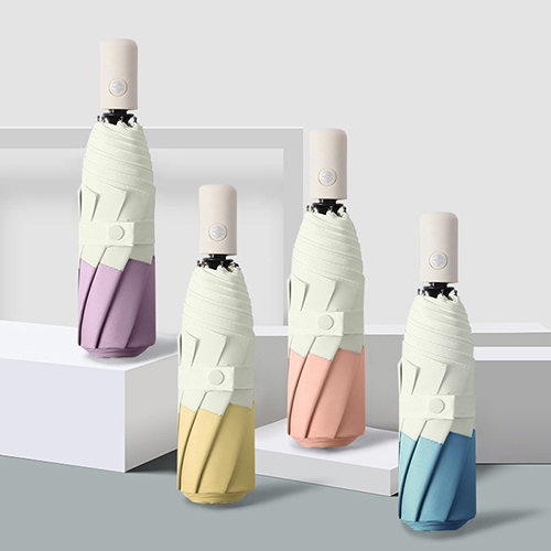 �۽��� ���� 8K 3�� �ڵ� ���