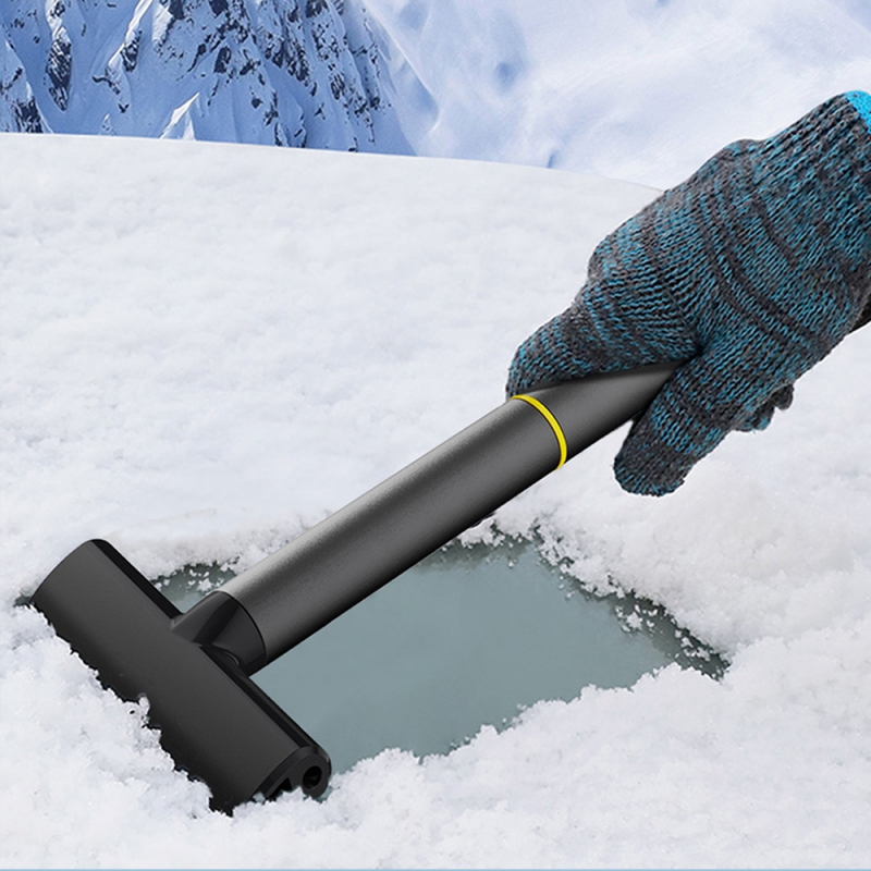 �½� ���ο� ������ �������ű�