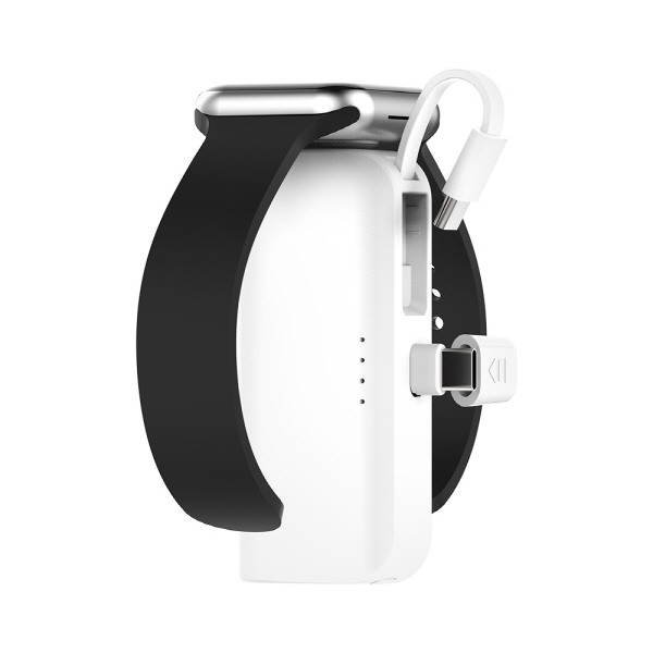 �÷����ƽ� 20W 3in1 ��ü�� �������͸� PMPB-WMB50_����Ʈ��, ����Ʈ��ġ ����