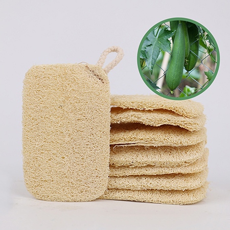 ���ī�� ģȯ�� �Ĺ� ������ (HR07)