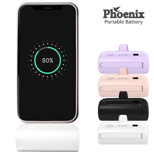 �Ǵн� CŸ�� ��ŷ�� �������͸� 5,000mAh ��ü��