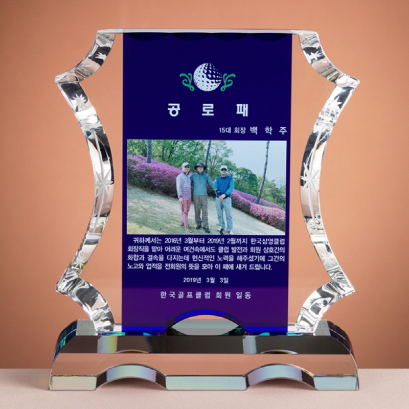 ũ����Ż ���� SAM24P031