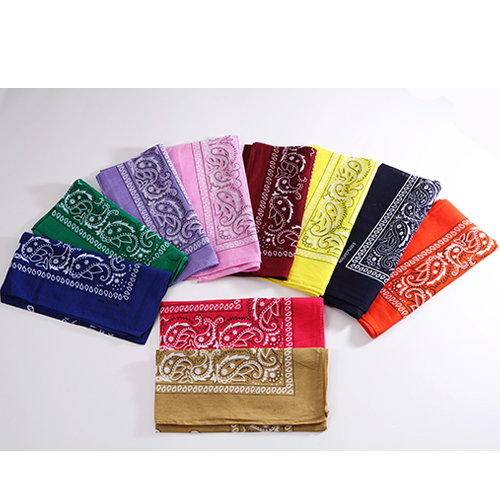 CO221 ���� �ռ���(1P)